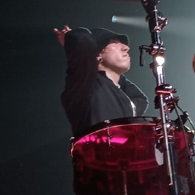 por qué nadie me dijo que iba a ser tan difícil ser fan de twenty one pilots