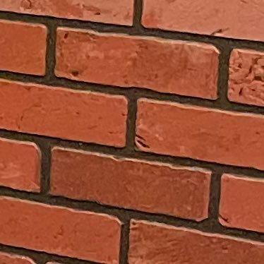 raiNn12986's profile picture. 