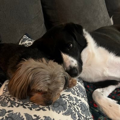 guy_jung13's profile picture. 17