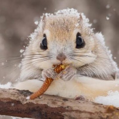 KonnoItsuki's profile picture. いろんな仕事をかけもちしてて自分の肩書がわからない民 K-pop J-pop アニメ 漫画 映画 政治 経済 何でも興味あるけどすべて浅く広く。楽しい事大好き♡