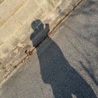 TiME RΣD (@pokemon_time15) 's Twitter Profile