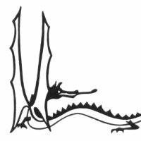 The Green Dragon Athletic Club (@jrrswolekien_nc) 's Twitter Profile