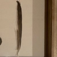 Rocks and Feathers (@rocksnfeathers) 's Twitter Profile