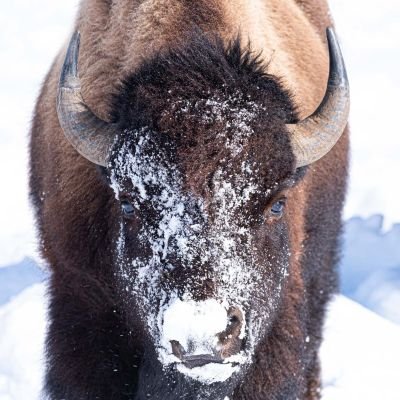 WanderingB56120's profile picture. 