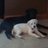 Susand911's profile image
