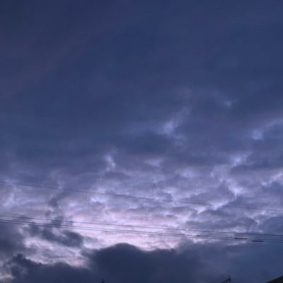 いぐぞースト.さんのプロフィール画像