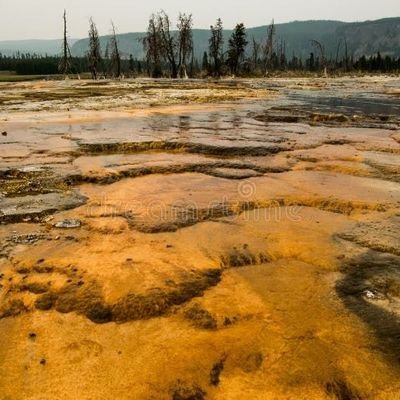 HipwellMattchew's profile picture. 