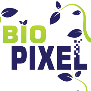 Biopixel's profile picture. Construimos enlaces coherentes entre sus clientes y su producto o servicio , nuestro trabajo consiste en remar contra corriente.