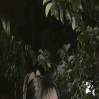 Sandy Soto (@sandysototh) 's Twitter Profile