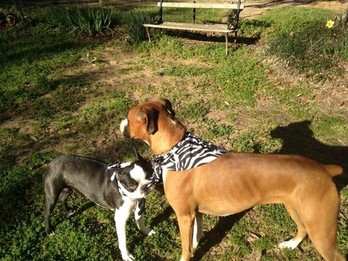 Willis9L's profile picture. 11/10 birthday