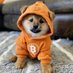 Majami vVajs $DOG❤️ (@majamiprajm) Twitter profile photo Majami vVajs $DOG❤️ (@majamiprajm) Twitter profile photo