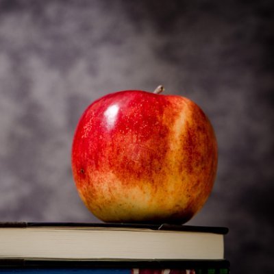 「努力すれば報われる」はバグですか?📉
資本主義というゲーム、仕様を知らないと詰む🎲
庶民向け経済サバイバル指南💡
📌 最近のバグ報告
🔧「副業OK=昇給停止モード」発生💼
🔧「税金、先払いなのに社会保障はガチャ」💸
🕹 やり込み中の経済ゲー
『シムシティ』🏙(財政破綻する未来しか見えない)