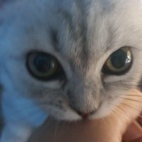 homeprotector (@aa7000274193015) 's Twitter Profile Photo homeprotector (@aa7000274193015) 's Twitter Profile Photo