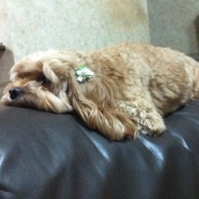 NCocoa615h's profile picture. 北海道在住の普通の会社員　3人暮らし #北海道　#映画　#Crypto