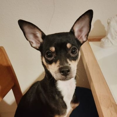 PadreAbelIsacc's profile picture. Ser feliz y nada más. Católico. Boricua.