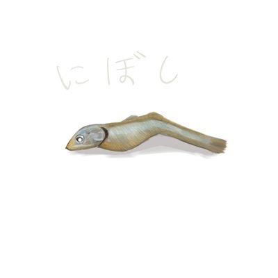 にぼし。さんのプロフィール画像