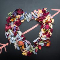 F A I L L (@faillrepost) Twitter profile photo