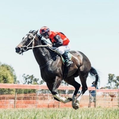 Cassar Racing. Boutique racing stable with training facilities in Macedon Ranges and on course stables at Kyneton racecourse.