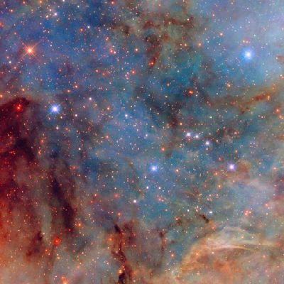 Halo_Developer's profile picture. A diary to my web development journey