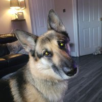 stefc (@stemills77) 's Twitter Profile