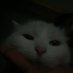 Cwel (@cwelpedalxd) Twitter profile photo Cwel (@cwelpedalxd) Twitter profile photo