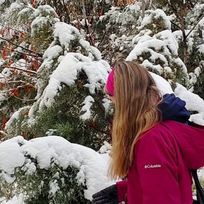 iranjannn's profile picture. یک عدد دولوپر