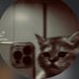 Bubba (@himbubbah) Twitter profile photo Bubba (@himbubbah) Twitter profile photo