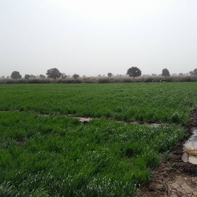 Yusuf Haruna Atuman Profile