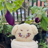 minko π (@minkokc) 's Twitter Profile