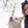 Saeedepk's profile picture. دوستار حیوانات__________________🐶🐕                    

   به نام وجدان،که خدای هر کسی اندازه ی وجدان اوست

🤍in
