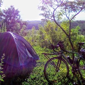 Leo_Aguilar03's profile picture. 