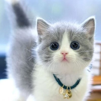 uggaliens's profile picture. 