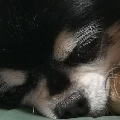 ハワイの風が大好き。あ~~~行きたいなぁー!
愛犬リーちゃんと幸せな日々。
サーファーとハワイ好きな人はフォローさせてくださいね。