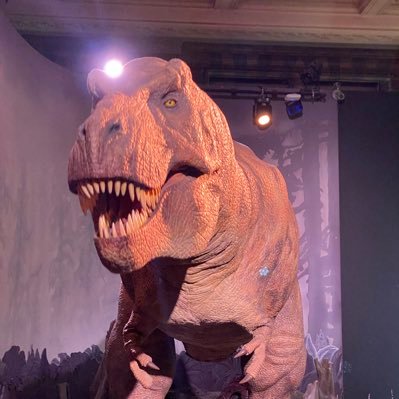 kingtut2310's profile picture. “To speak the name of the dead is to make them live again.”