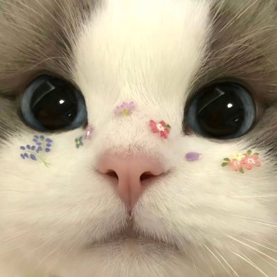 BHOSDAPILLER's profile picture. BHOSDAPILLER™