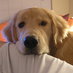 Randy Saunders (@murphysaunders) Twitter profile photo Randy Saunders (@murphysaunders) Twitter profile photo