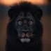 BlackMane🦁 (@blkmane303) Twitter profile photo BlackMane🦁 (@blkmane303) Twitter profile photo
