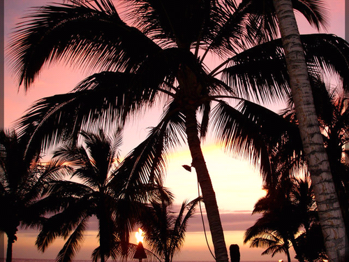 newmoms119's profile picture. thank you for supporting all of are new moms.