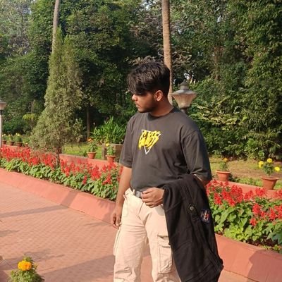 ayushh4506's profile picture. IIT Delhi/IIT Mumbai/MIT/BHU/Stanford University 

They all rejected me , so i started working independently
