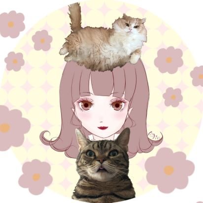 みん🐈‍⬛🐈️さんのプロフィール画像