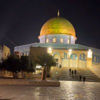 𝑴𝑶𝑯𝑨𝑴𝑴𝑬𝑫 🇲🇦🇵🇸🤍 (@mohamed_yafrah) 's Twitter Profile