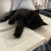 Xaikaw (@xaikaw) 's Twitter Profile