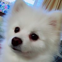 sbygen (@_sbgn) 's Twitter Profile