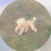 mi (@8___5n) Twitter profile photo mi (@8___5n) Twitter profile photo