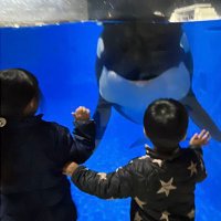 おりん (@orinorca) 's Twitter Profile