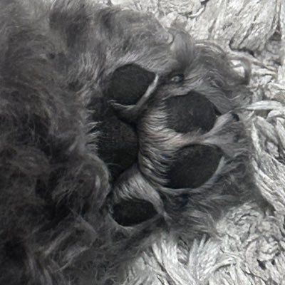 Moi4355109838's profile picture. 