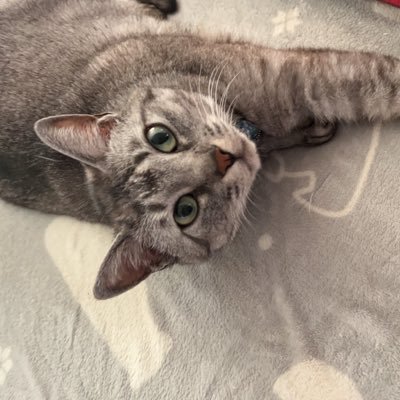 20↑ 25↓ 社会人(フリーター)、池袋に出没しがち 雑多な本垢 主に推しについてはリトリン(アイナナとA3!が主軸) 同担、他担さん歓迎✨ 呼びタメ大歓迎! 無言もフォローOK!!(もしだったらフォロバしに行く‼️)お取引垢→@Natu_Tr59