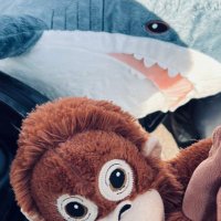 terrr (@terrr_1145) 's Twitter Profile Photo terrr (@terrr_1145) 's Twitter Profile Photo
