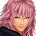 Marluxia (@marluxiaeleven) Twitter profile photo Marluxia (@marluxiaeleven) Twitter profile photo