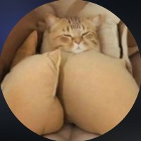 Roblox_56 (@peter93346) 's Twitter Profile